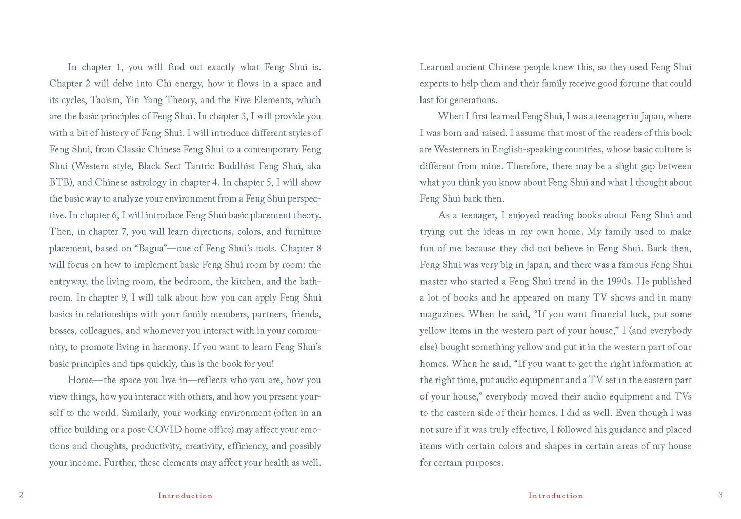 A Little Bit of Feng Shui Book