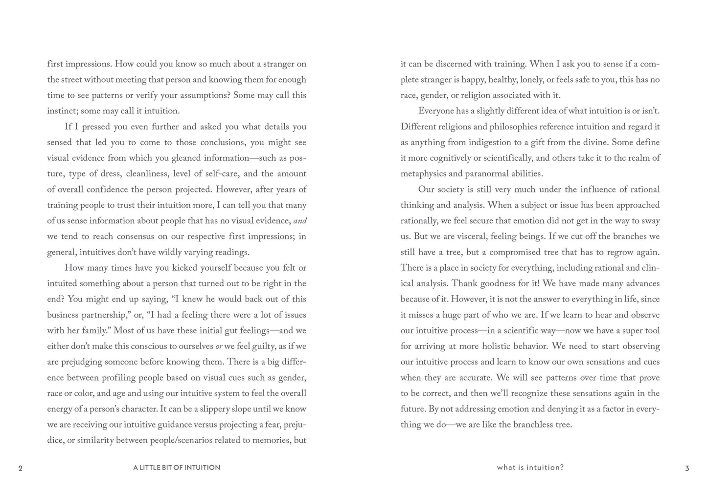 A Little Bit of Intuition Book