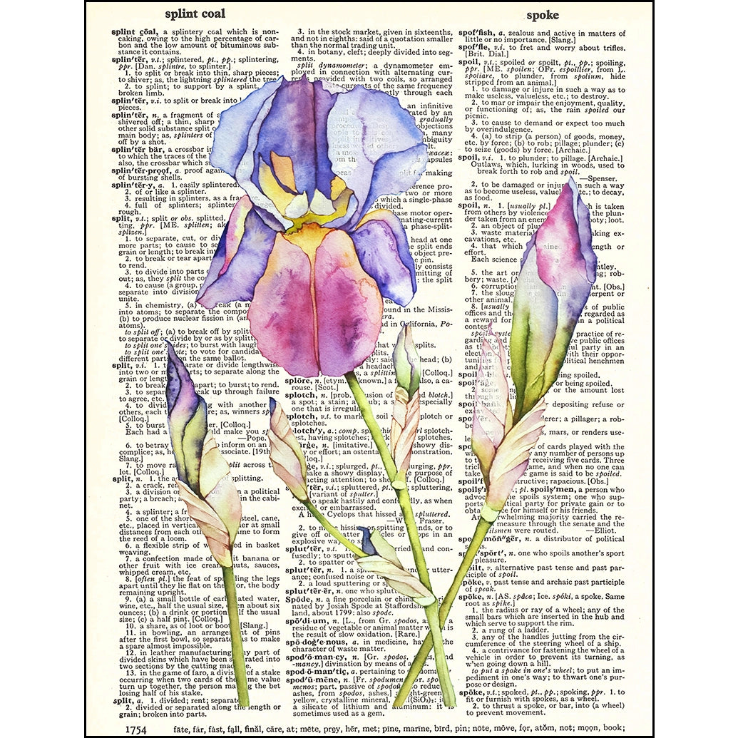 Iris Watercolor Print