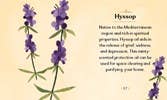 Essential Oils Book
