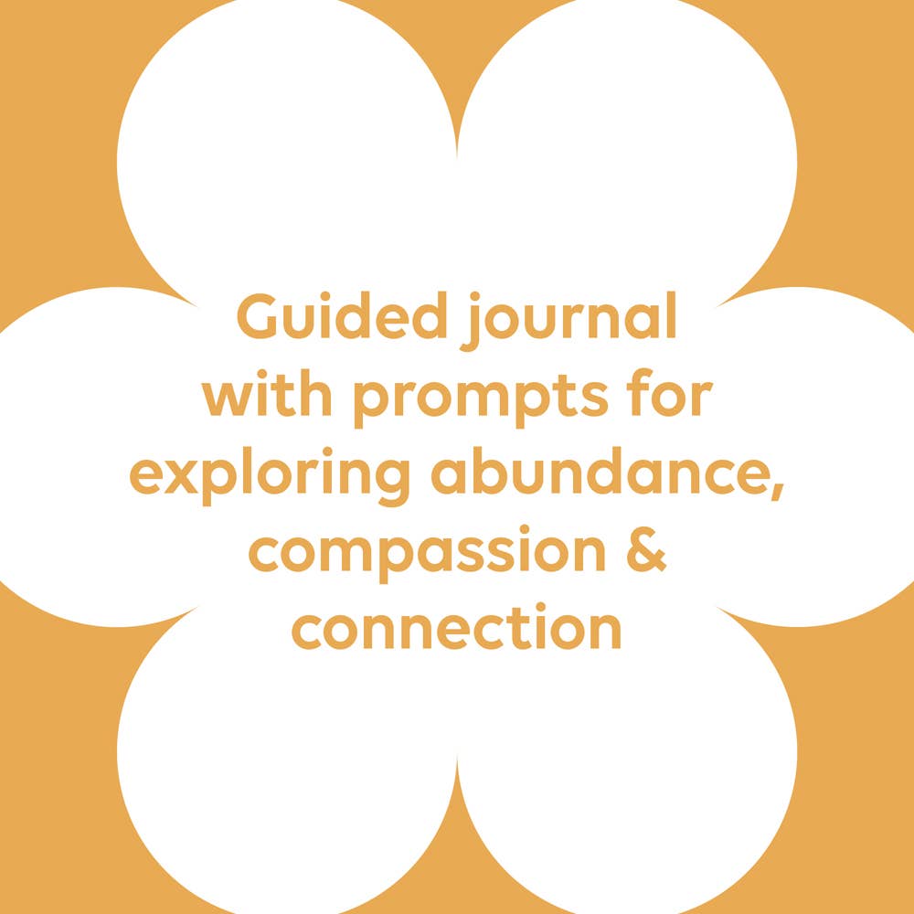 Abundance Book