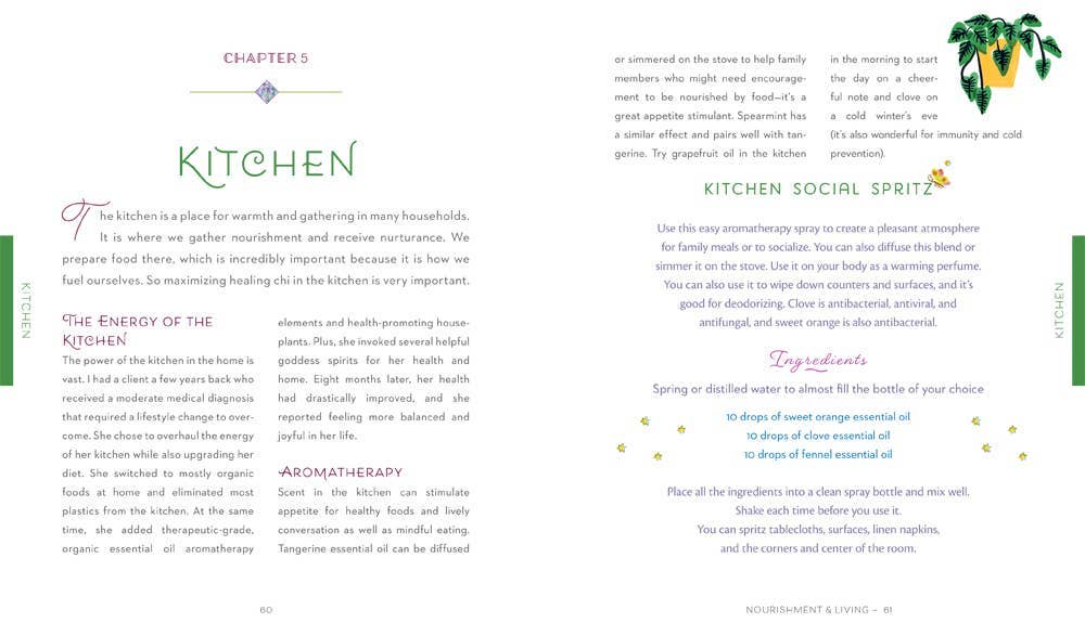 Healing Home Book