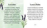 Essential Oils Book