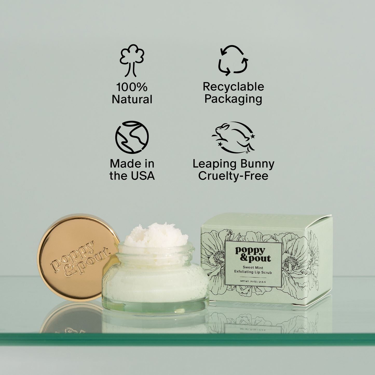 Lip Scrub: Sweet Mint