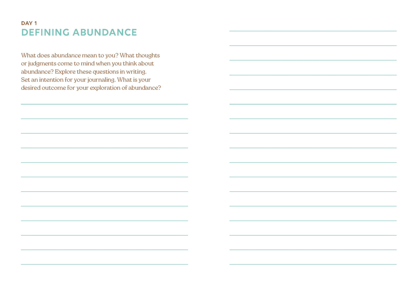 Abundance Book