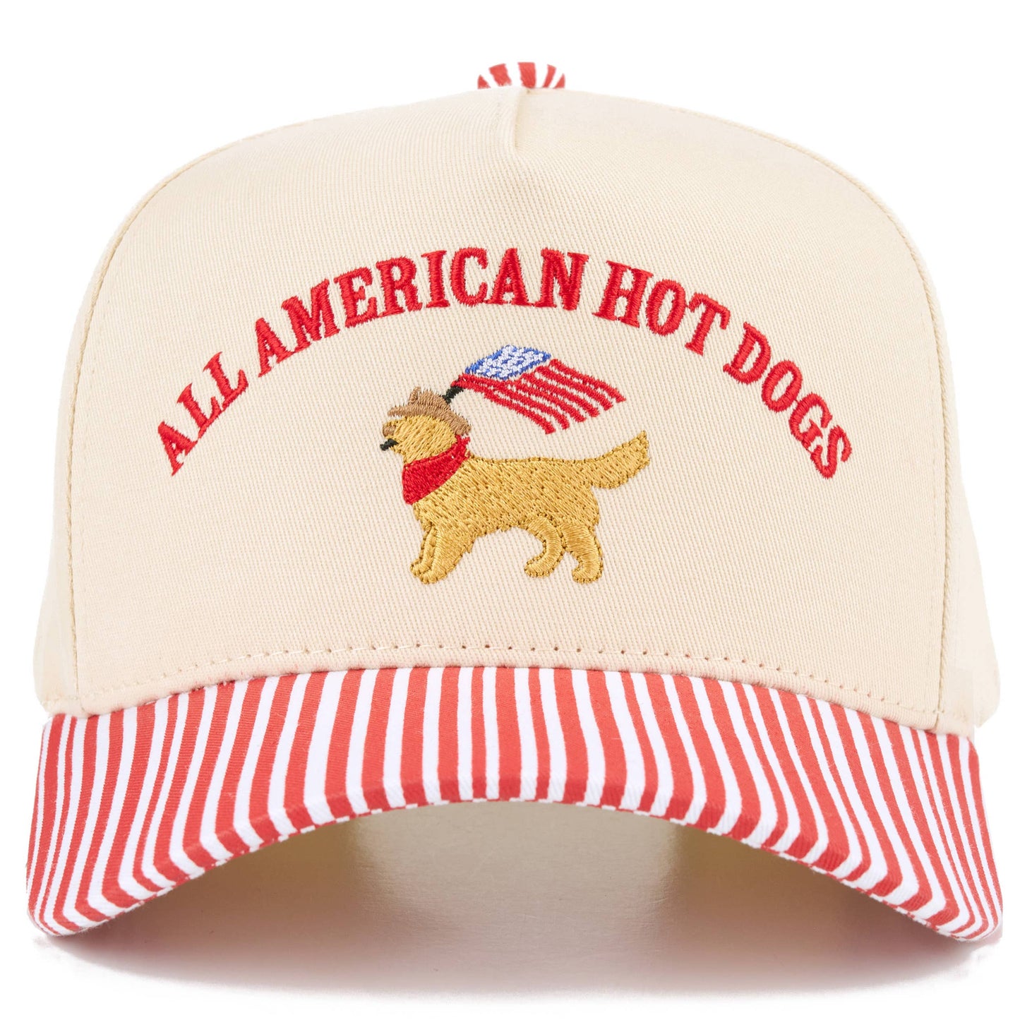 Hot Dog Hat