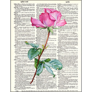 Rose Dictionary Art Print